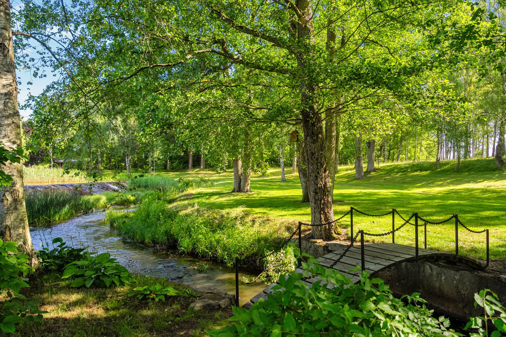 Gård/Skog, Ljungamölla 2569, Hässleholm