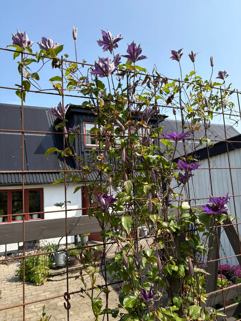 Villa, Karlaby byväg 6, Karlaby, Simrishamn