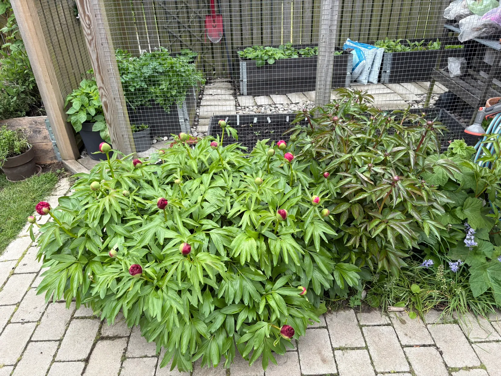 Villa, Karlaby byväg 6, Karlaby, Simrishamn