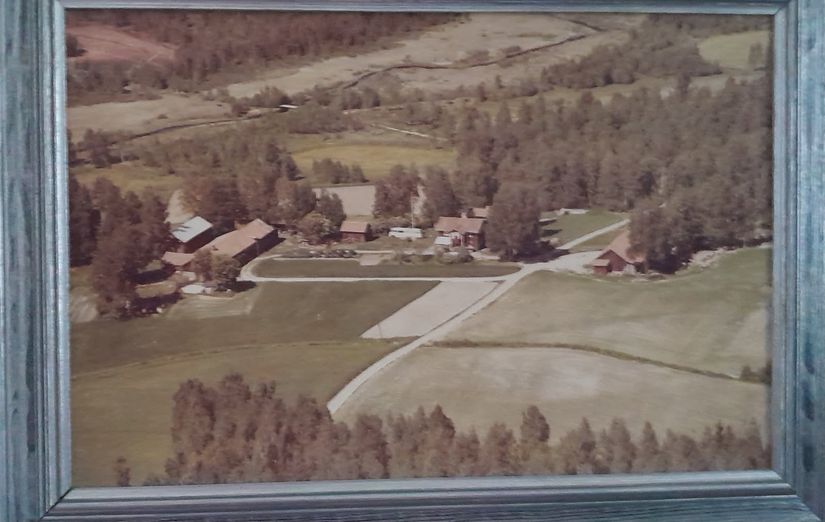 Gård/Skog, Hagälvsgården 1, Hagfors