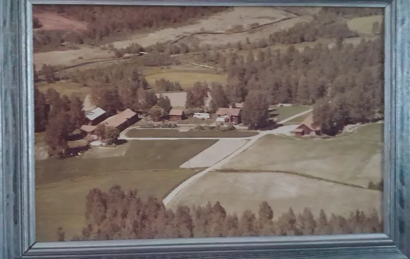 Gård/Skog, Hagälvsgården 1, Hagfors