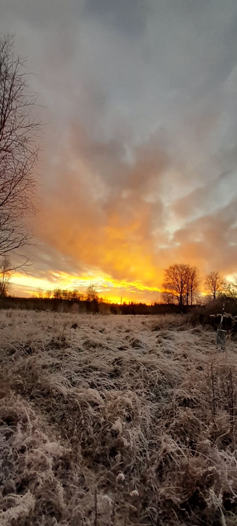 Gård/Skog, Hagälvsgården 1, Hagfors