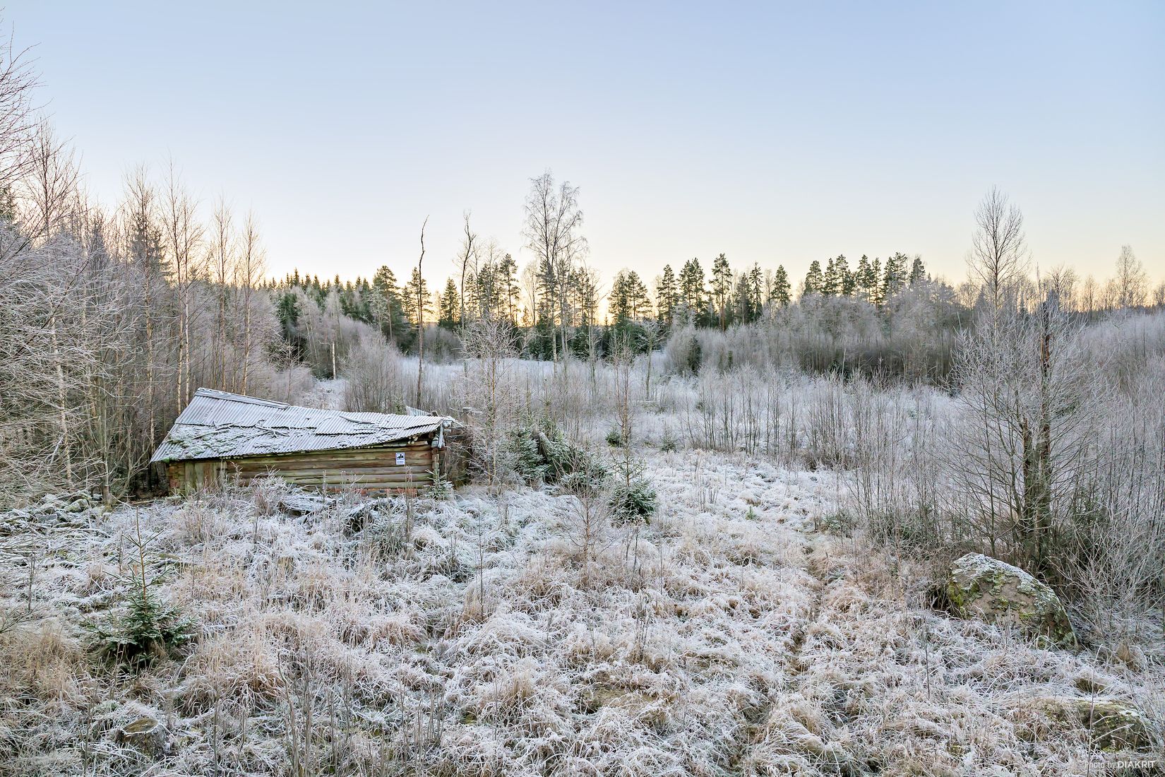 Gård/Skog, Hagälvsgården 1, Hagfors