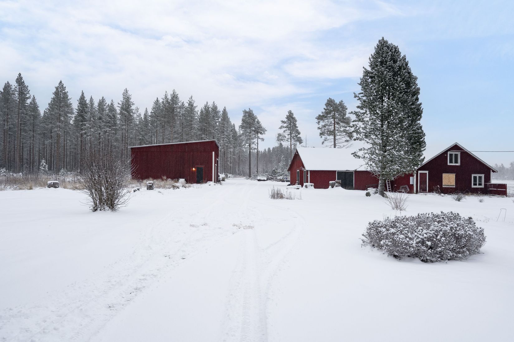 Gård/Skog, Svarttjärn 120, Burträsk, Skellefteå