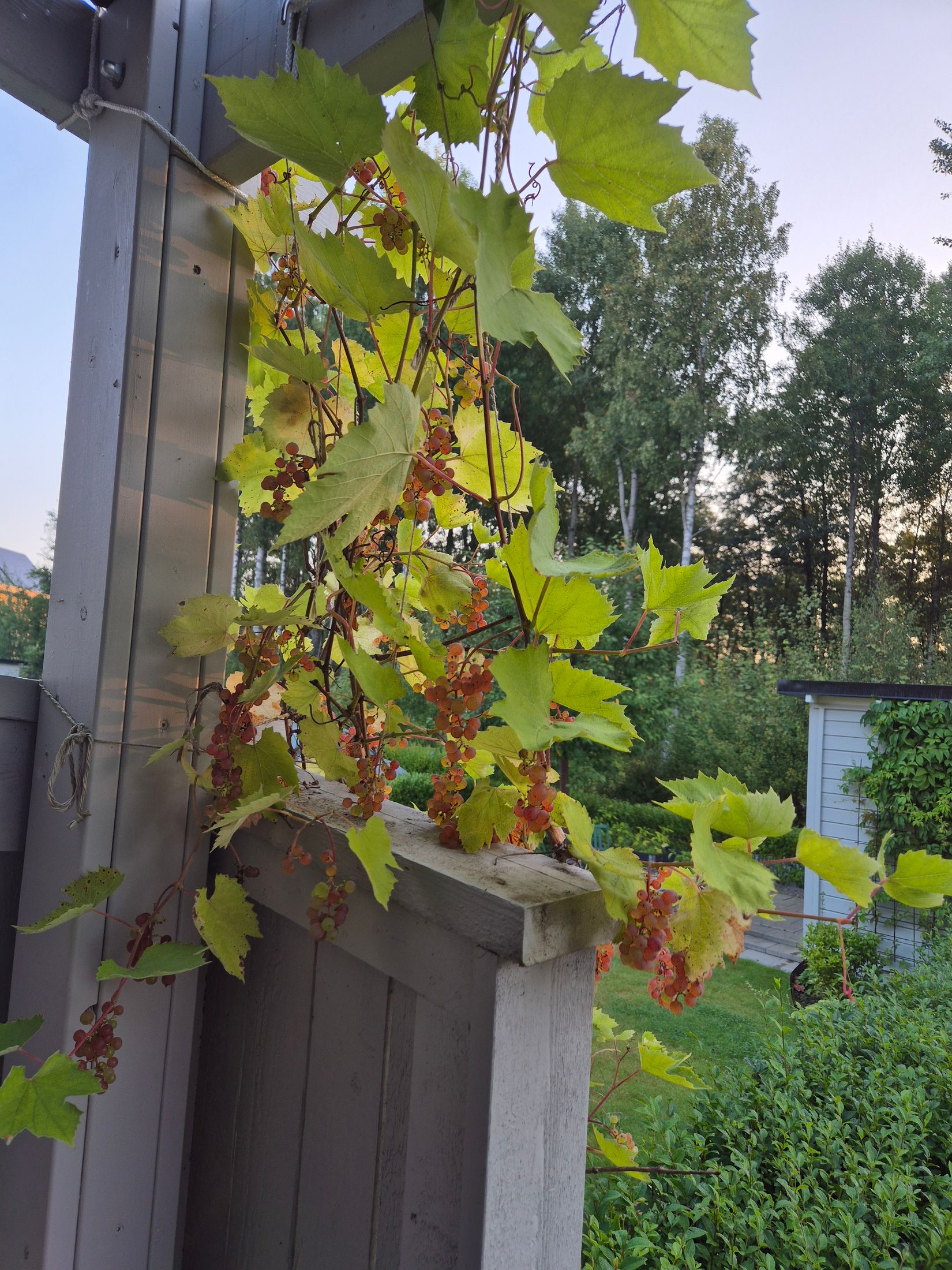 Bostadsrätt, Radhus, Högövägen 21B, Bredvik, Växjö