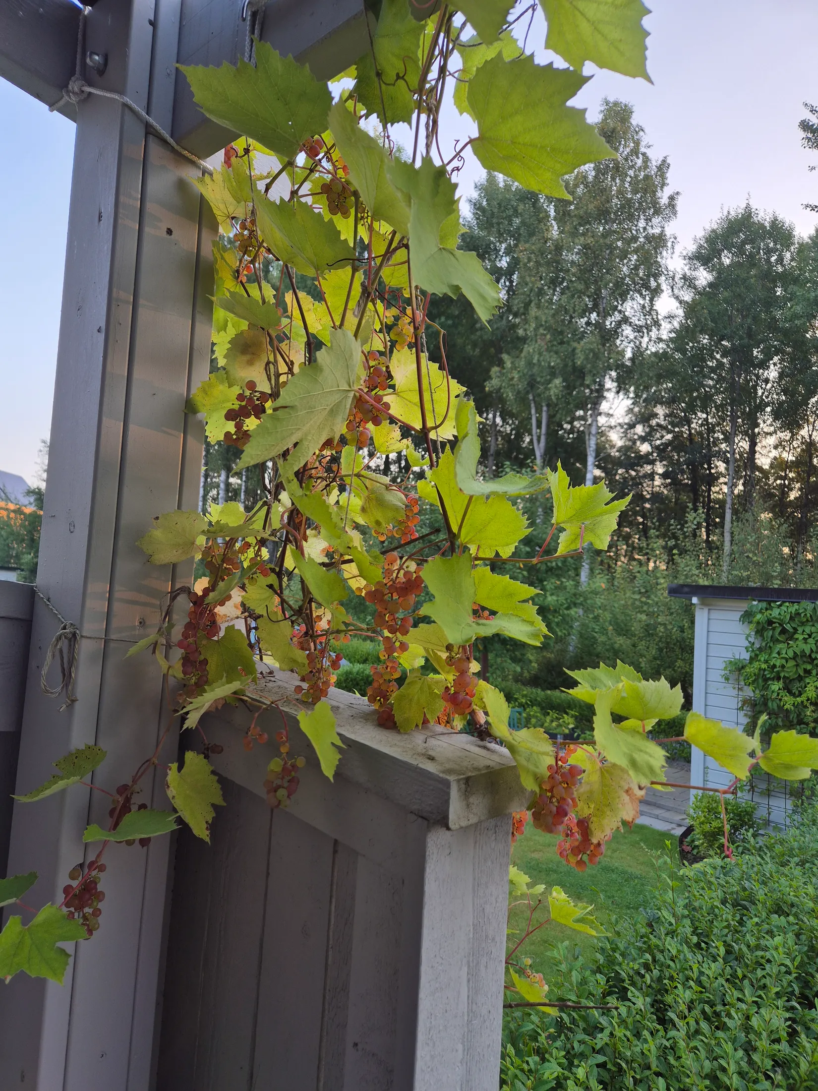 Bostadsrätt, Radhus, Högövägen 21B, Bredvik, Växjö