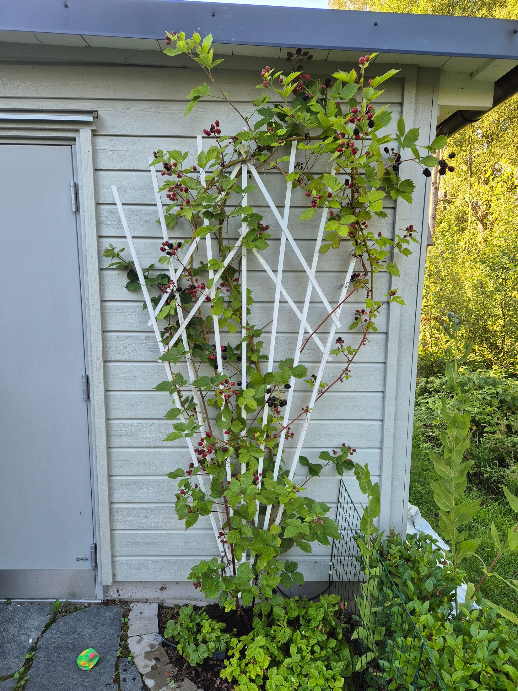 Bostadsrätt, Radhus, Högövägen 21B, Bredvik, Växjö