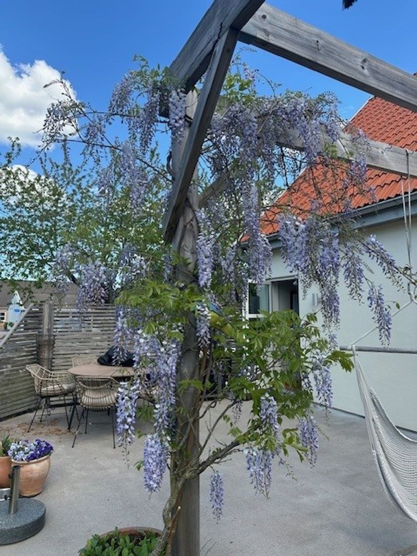 Villa, Dragongången 4, Laholm