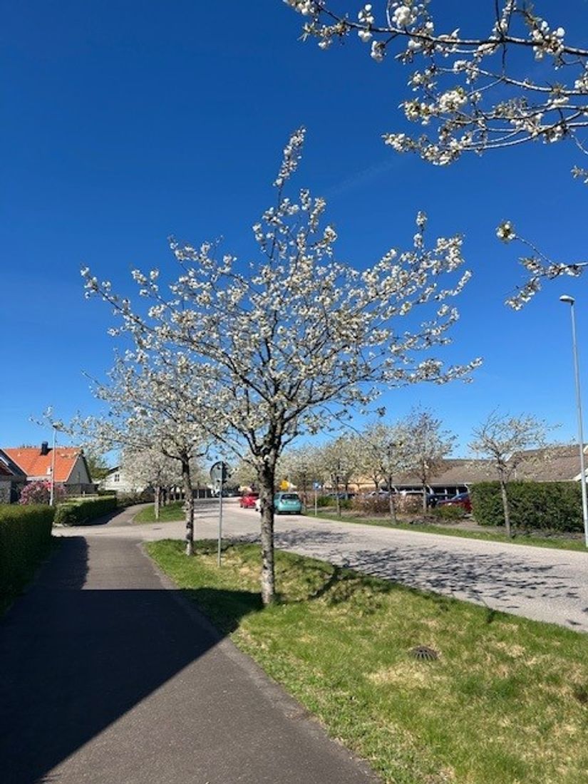 Villa, Dragongången 4, Laholm