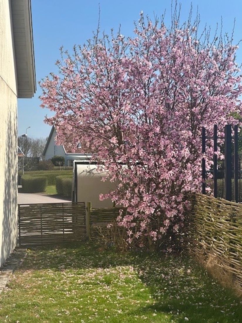 Villa, Dragongången 4, Laholm