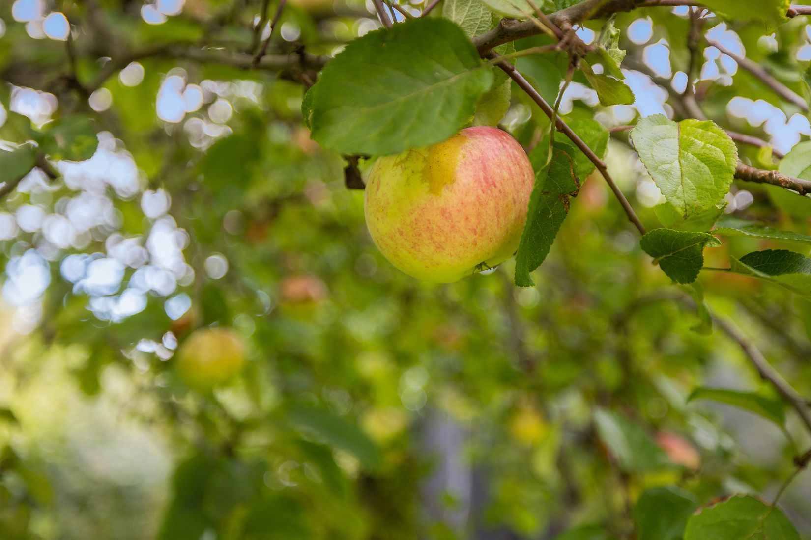 Villa, Radhus, Rågvägen 15, Viksjö, Järfälla