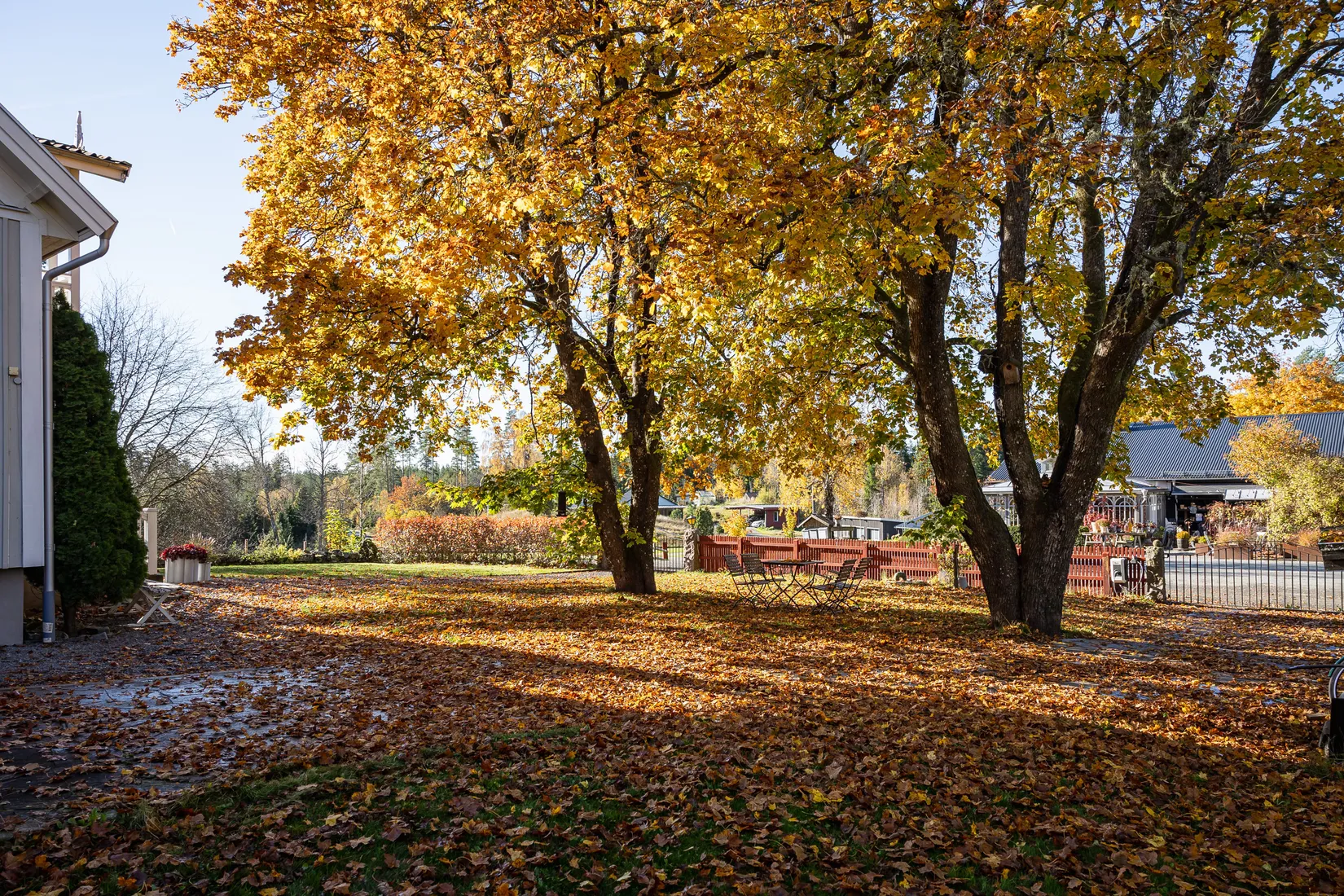 Gård/Skog, Hok Österskog 2, Hok, Vaggeryd