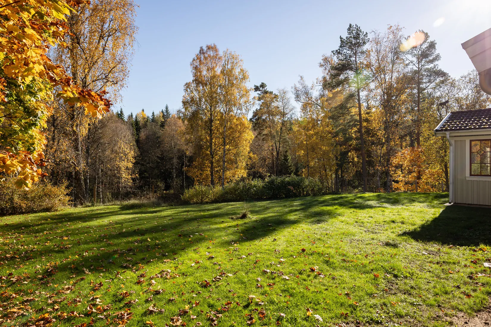 Gård/Skog, Hok Österskog 2, Hok, Vaggeryd