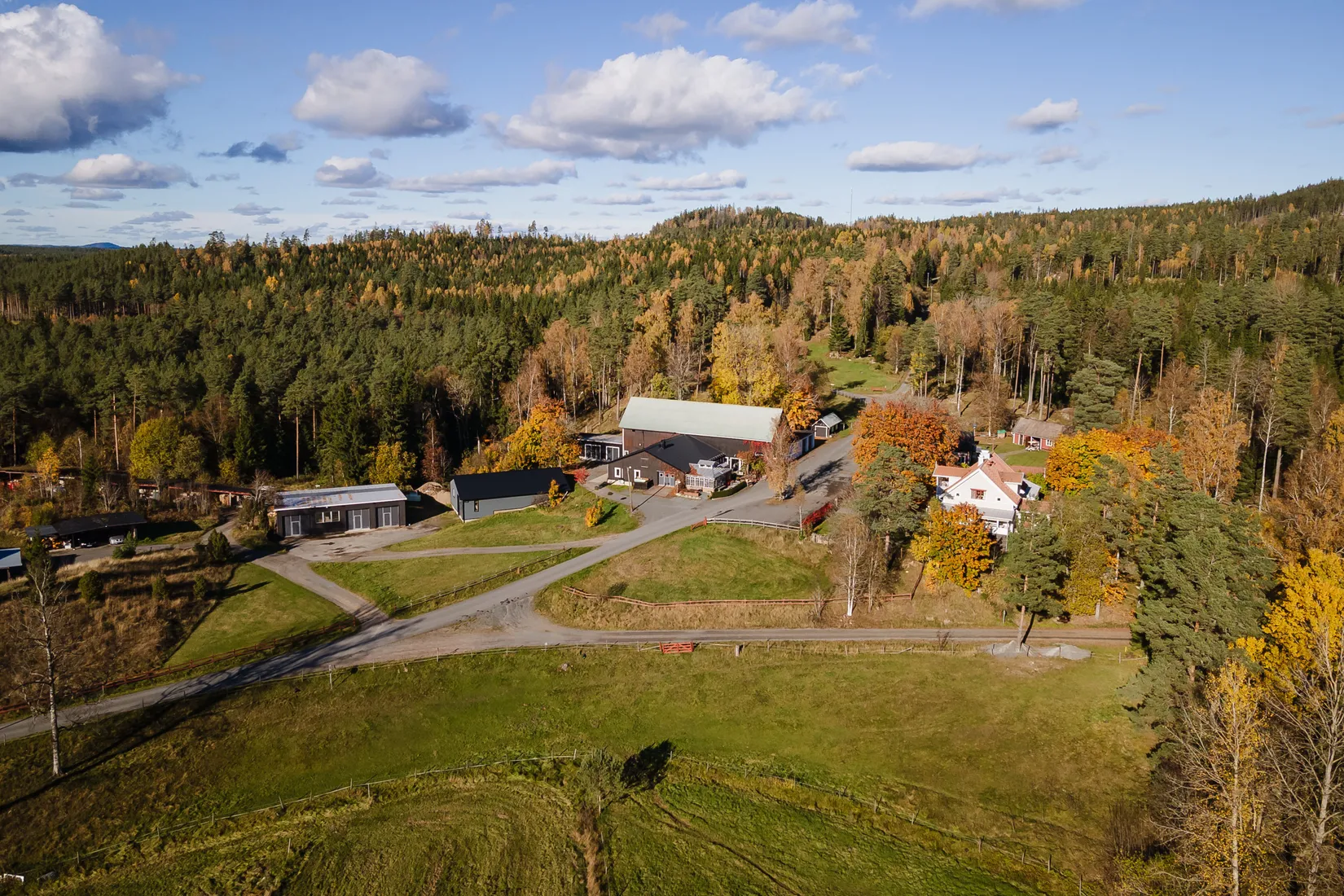 Gård/Skog, Hok Österskog 2, Hok, Vaggeryd