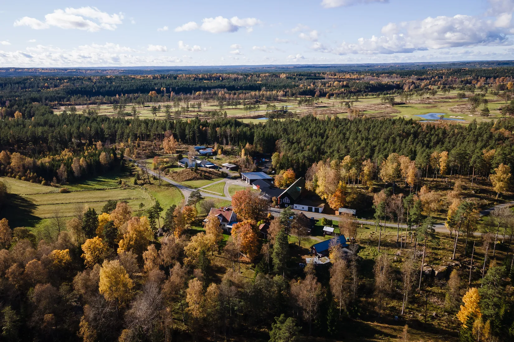 Gård/Skog, Hok Österskog 2, Hok, Vaggeryd