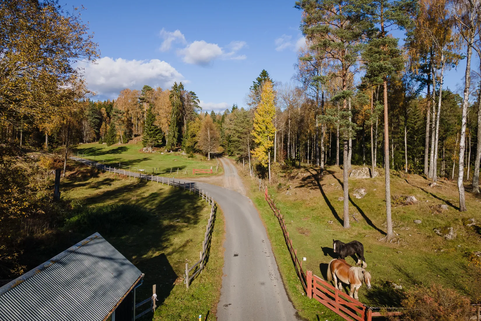 Gård/Skog, Hok Österskog 2, Hok, Vaggeryd
