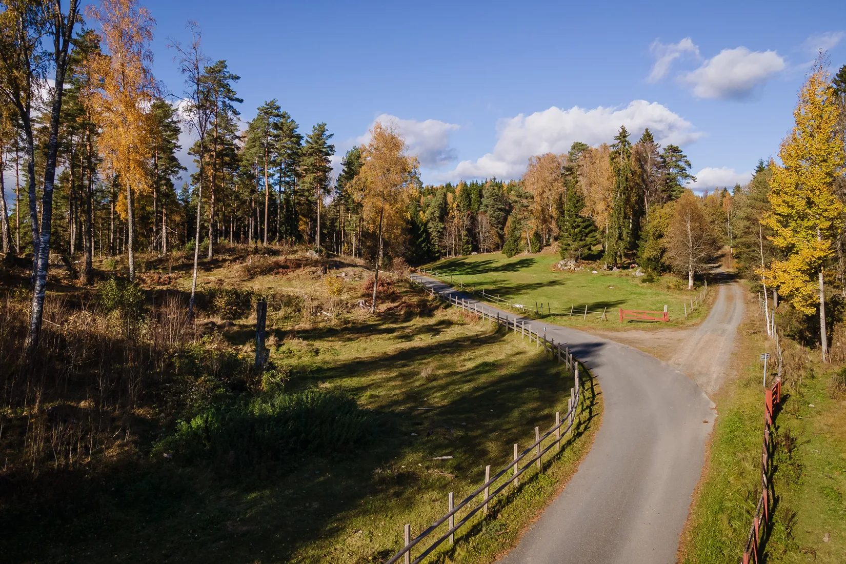 Gård/Skog, Hok Österskog 2, Hok, Vaggeryd
