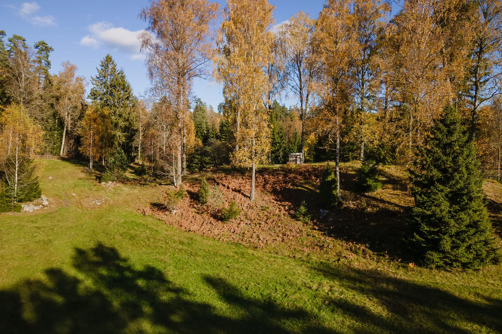 Gård/Skog, Hok Österskog 2, Hok, Vaggeryd
