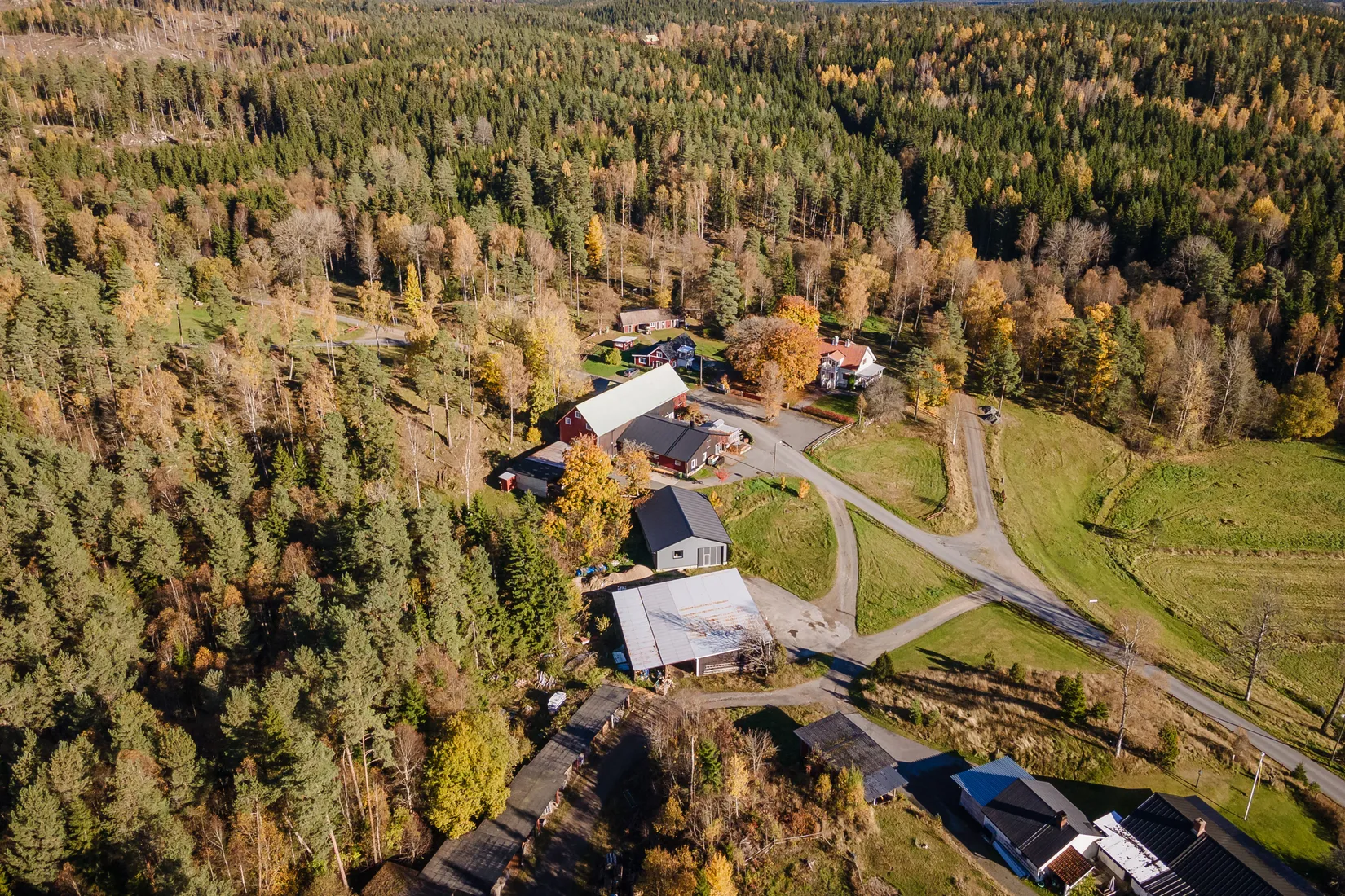 Gård/Skog, Hok Österskog 2, Hok, Vaggeryd