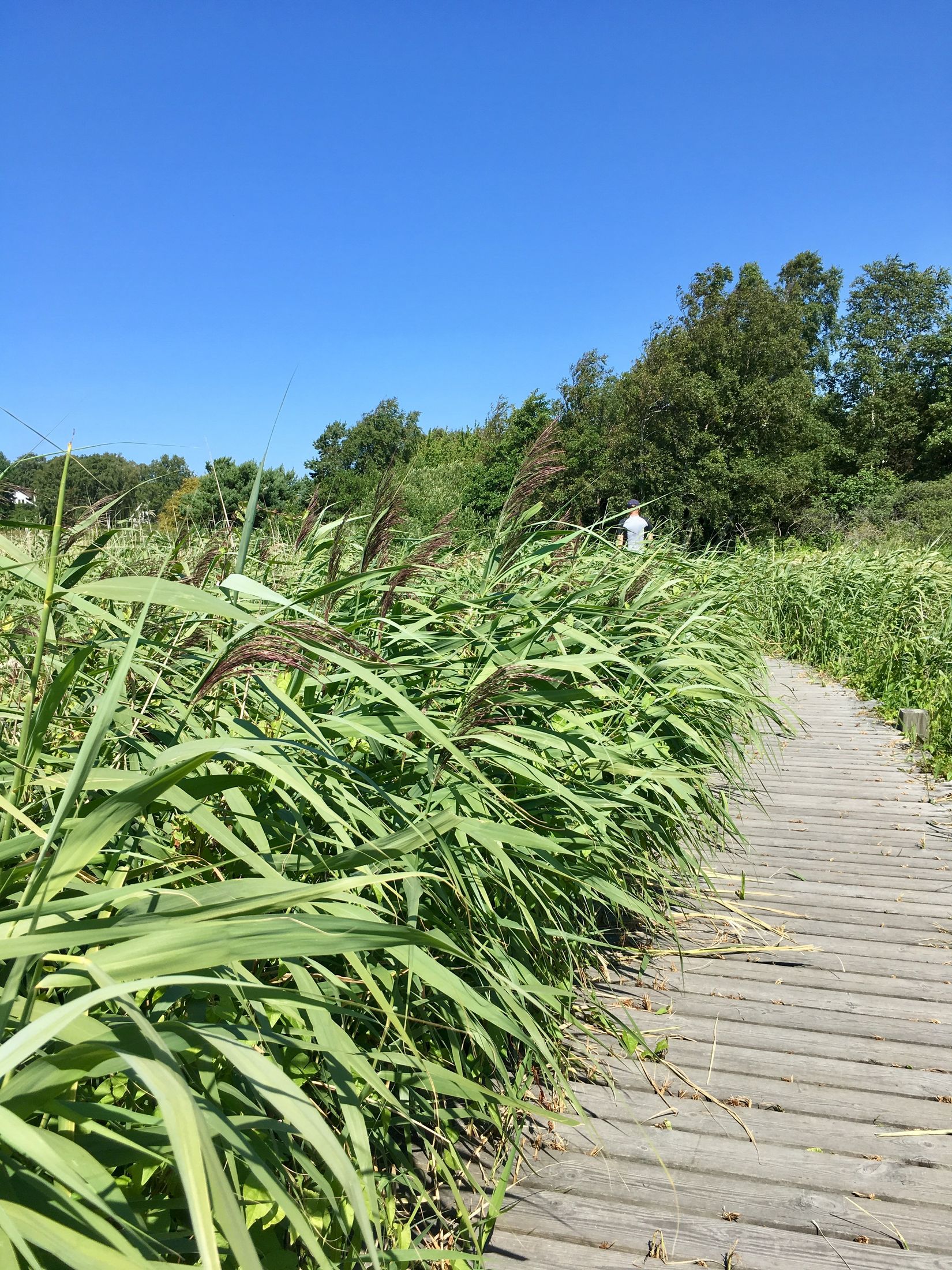 Villa, Fogelmarksvägen 21, Näset, Göteborg