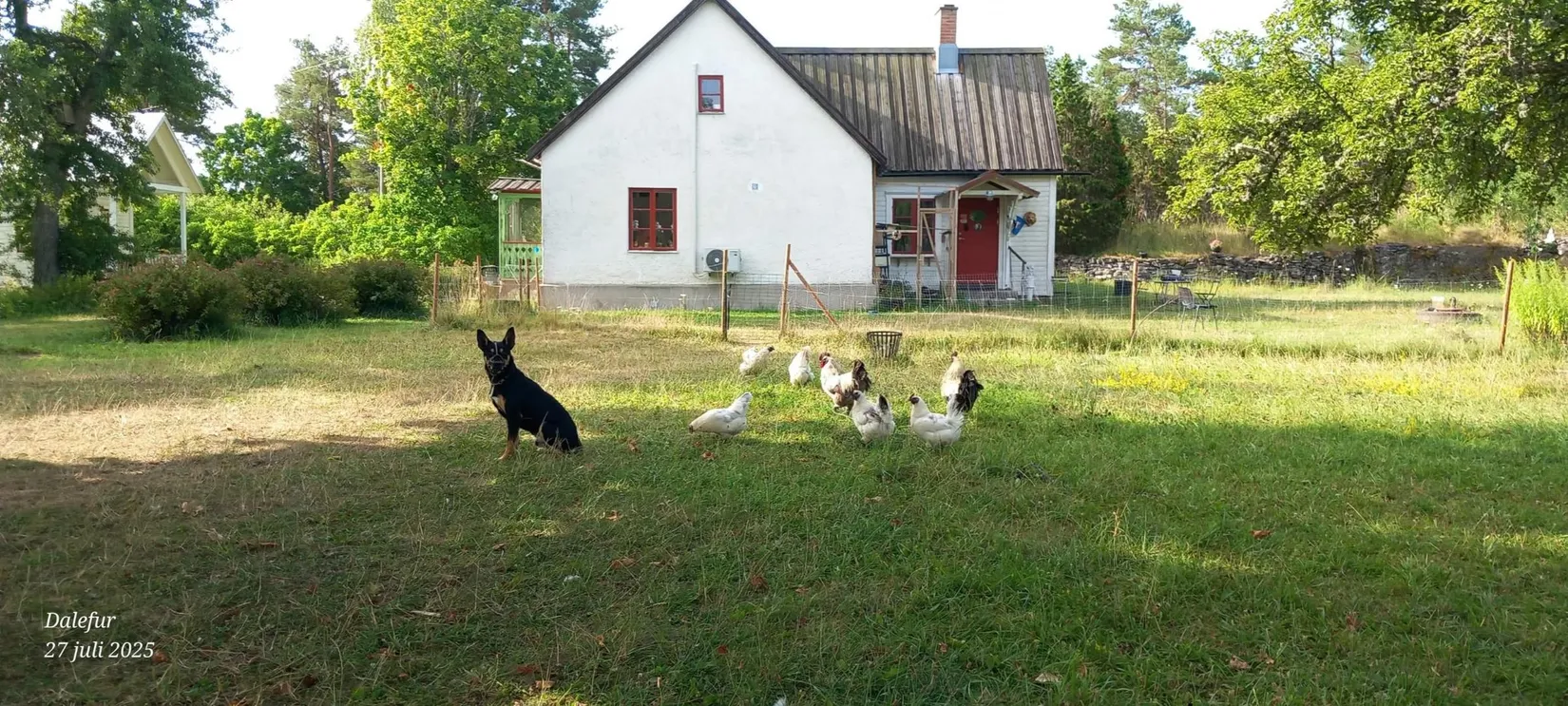 Villa, Vänge Vivungs 906, Gotland