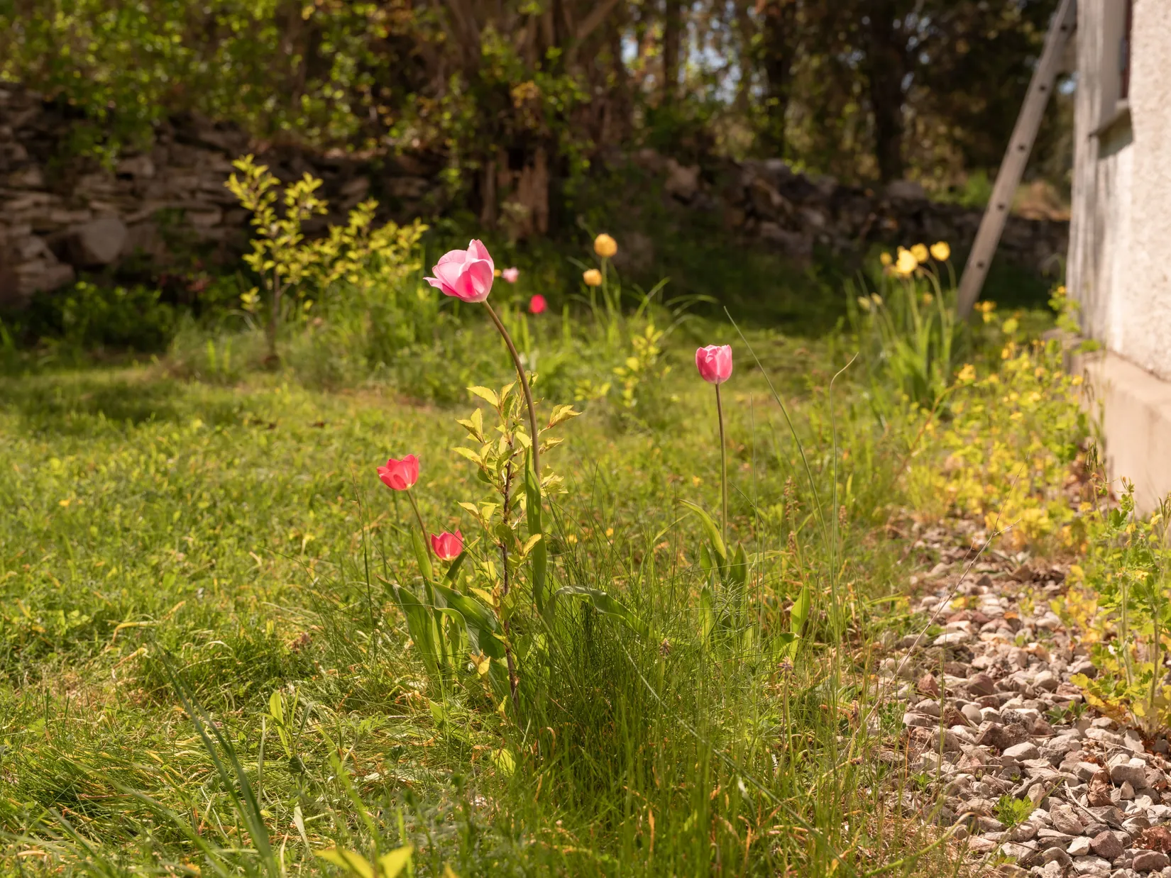 Villa, Vänge Vivungs 906, Gotland