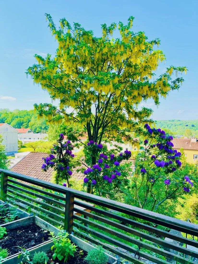 Villa, Fridhemsvägen 1, Surte, Ale