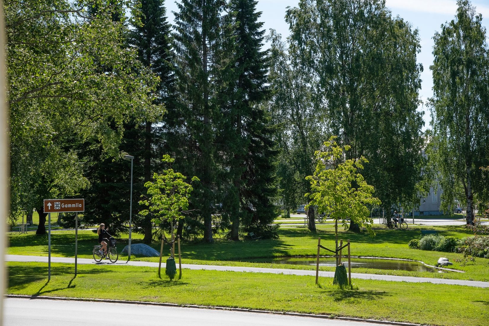 Bostadsrätt, Östra Kyrkogatan 54A, Haga, Umeå