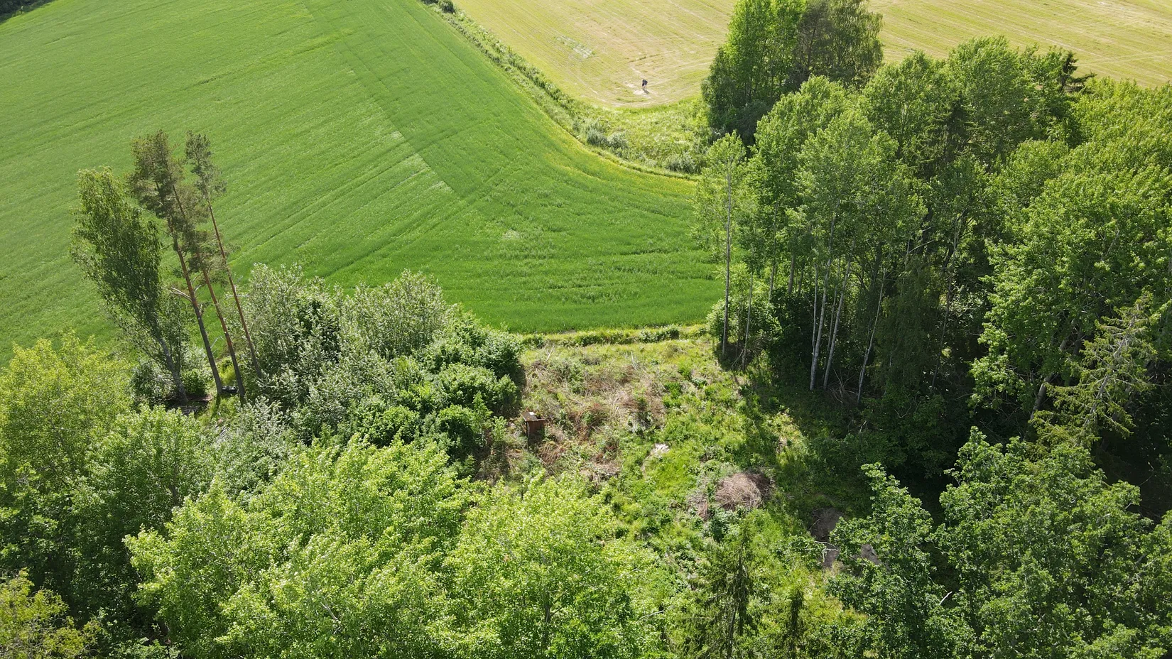 Tomt, Fresta 126, Alunda, Östhammar