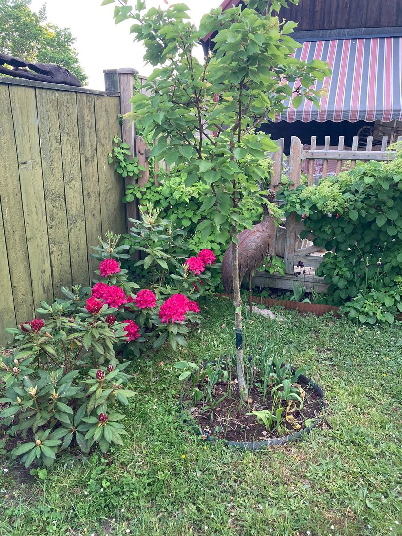 Fritidshus, Toftavägen 389, Tofta - Gnisvärd, Gotland