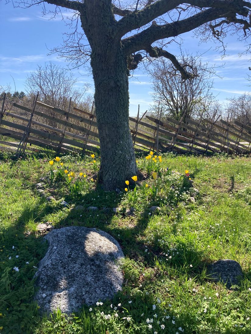 Fritidshus, Toftavägen 389, Tofta - Gnisvärd, Gotland