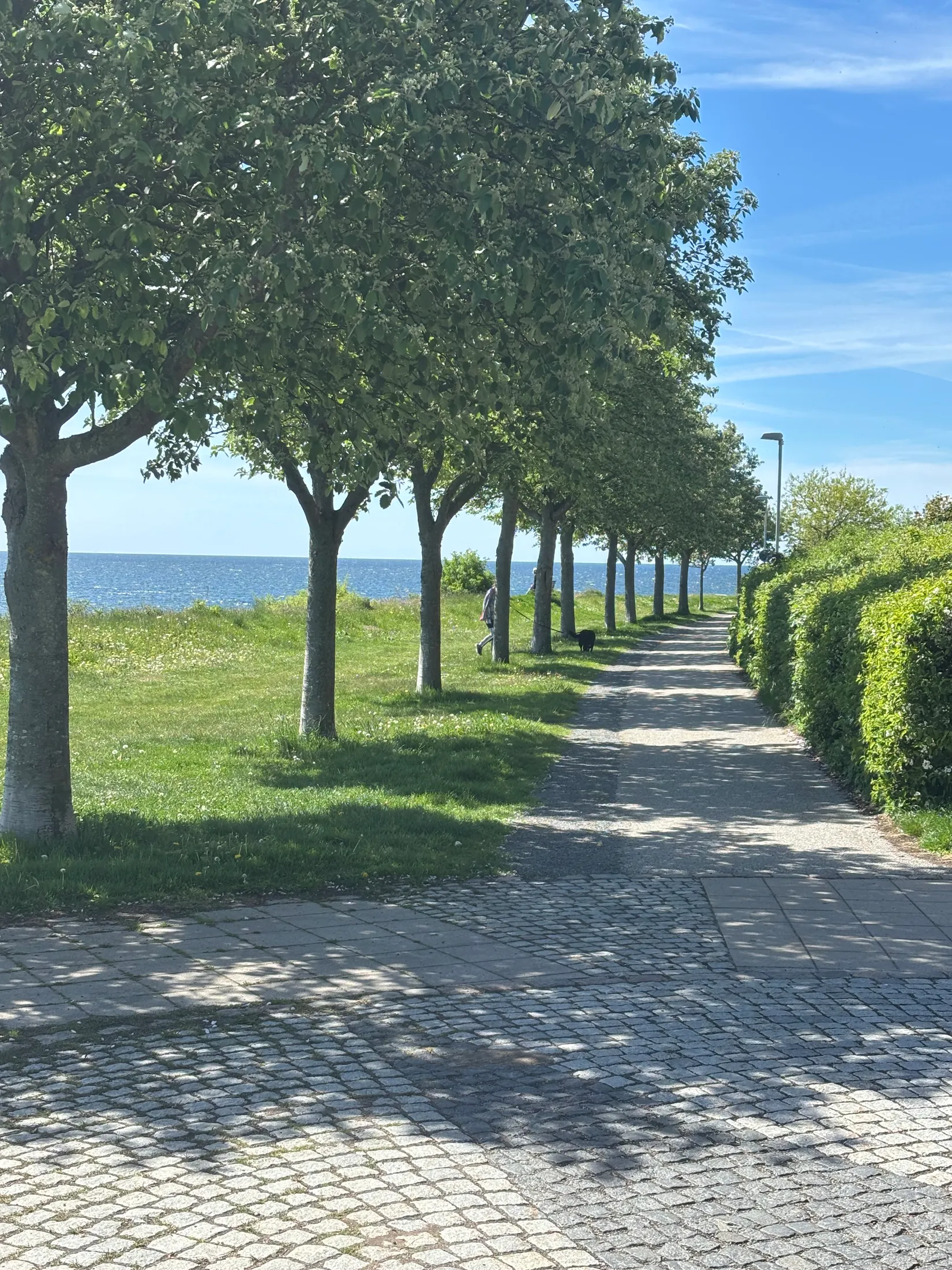 Bostadsrätt, Radhus, Gjuterigatan 100, Gjuteriet, Ystad