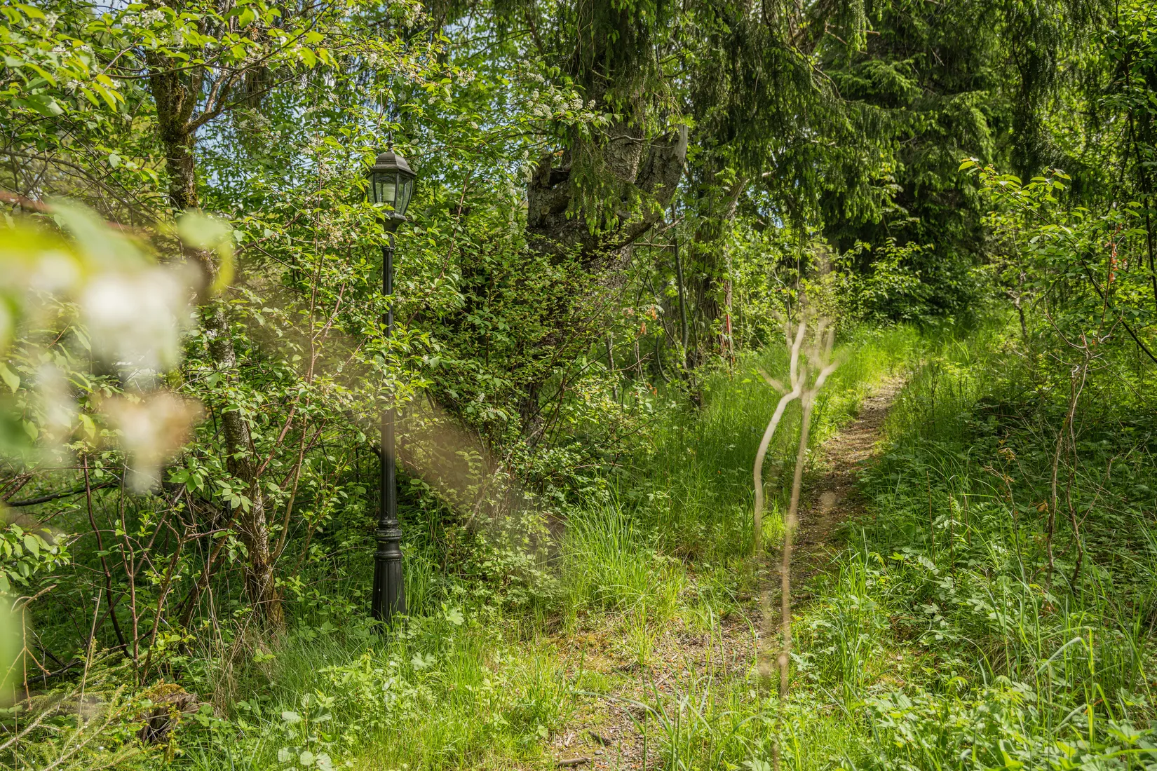 Tomt, Drömläge i Ingared – stor tomt med exklusiva boendemöjligheter i naturnära miljö., Ingared, Alingsås