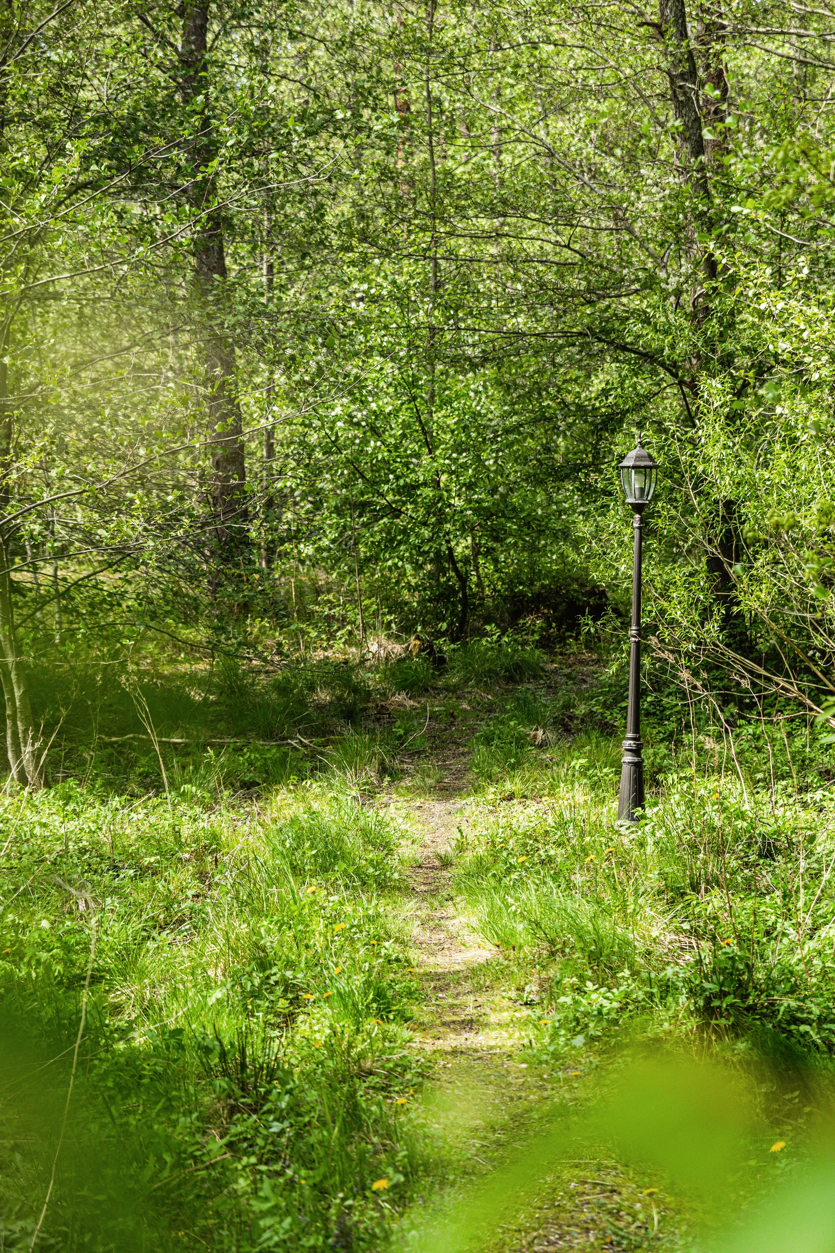 Tomt, Drömläge i Ingared – stor tomt med exklusiva boendemöjligheter i naturnära miljö., Ingared, Alingsås