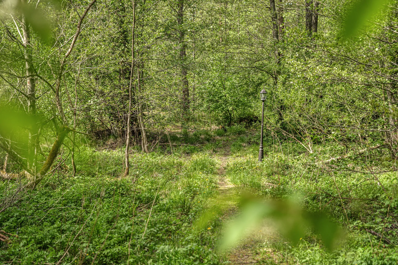 Tomt, Drömläge i Ingared – stor tomt med exklusiva boendemöjligheter i naturnära miljö., Ingared, Alingsås