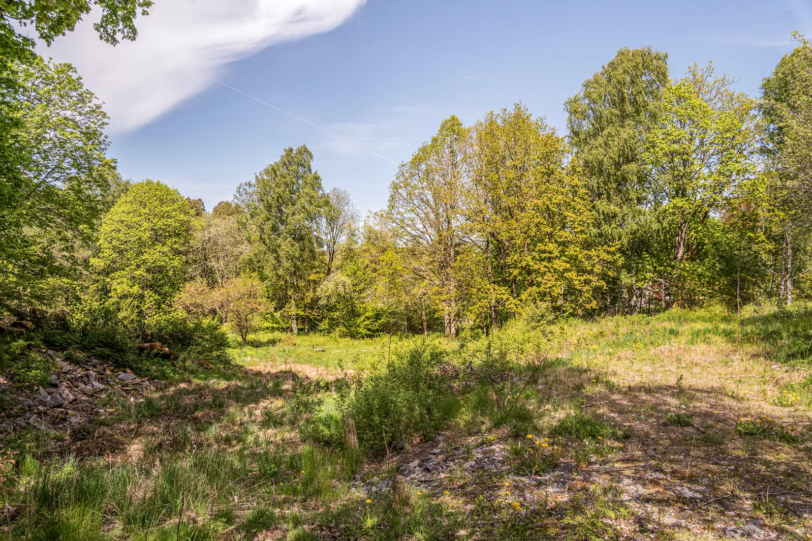 Tomt, Drömläge i Ingared – stor tomt med exklusiva boendemöjligheter i naturnära miljö., Ingared, Alingsås