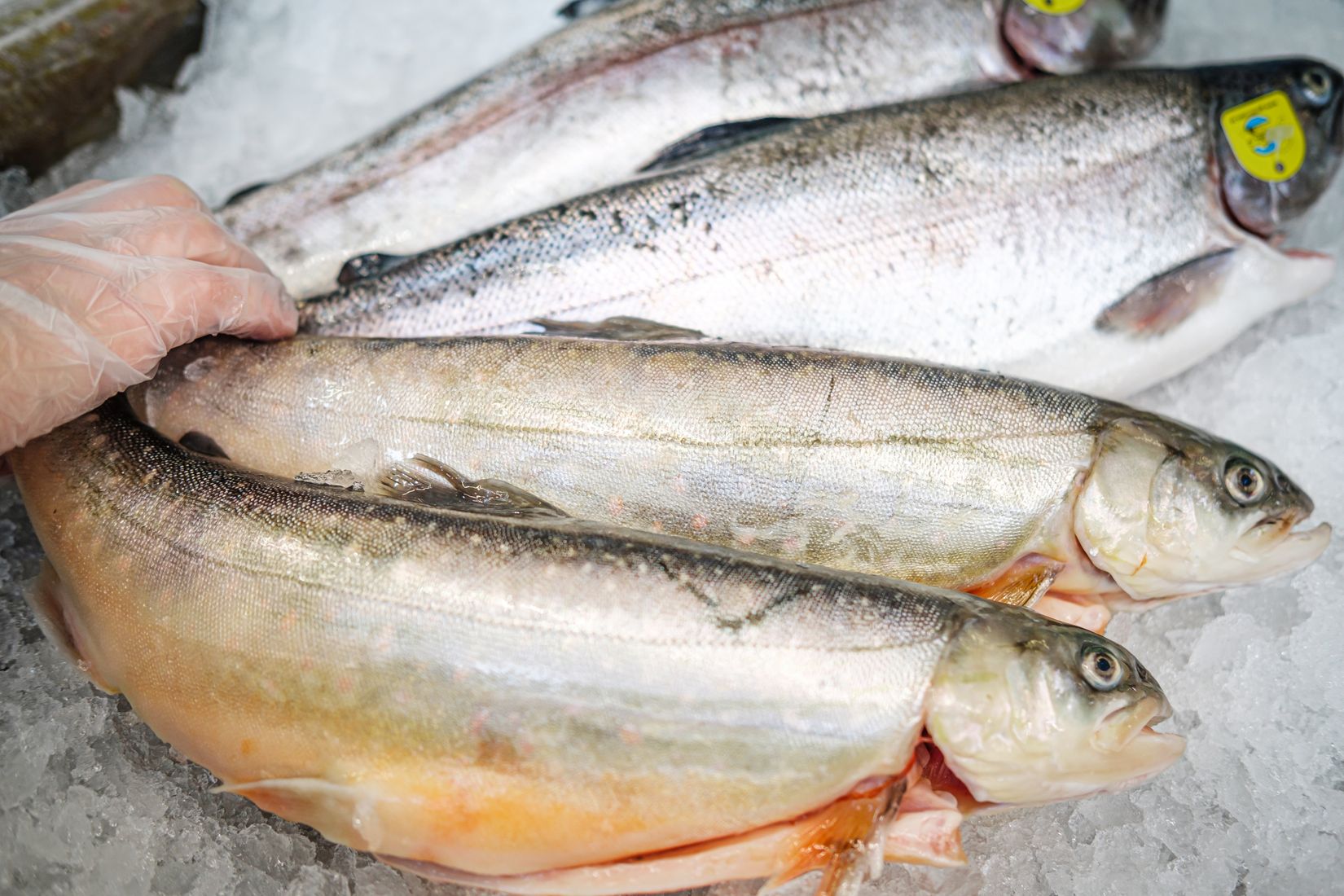 Bostadsrätt, Långängen 12, Centrala Hisingen - Kvillebäcken, Göteborg