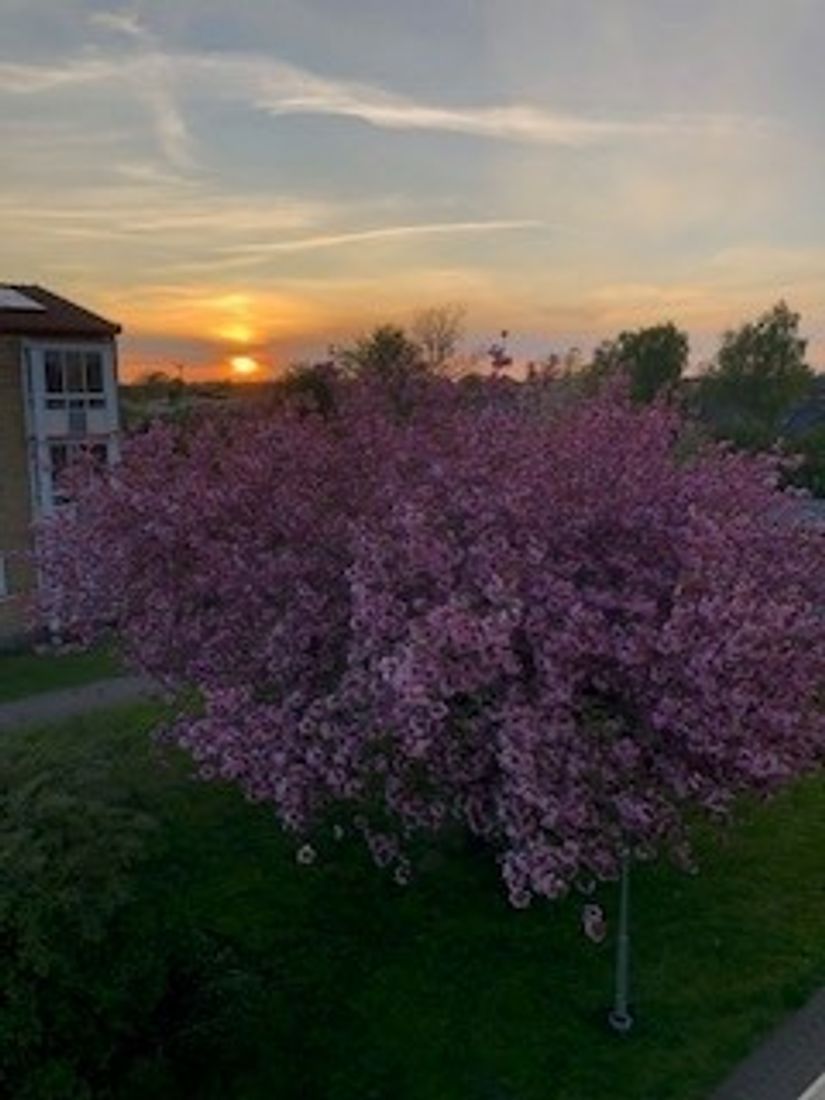 Bostadsrätt, Vinstorpsvägen 50, Vinstorp, Lomma