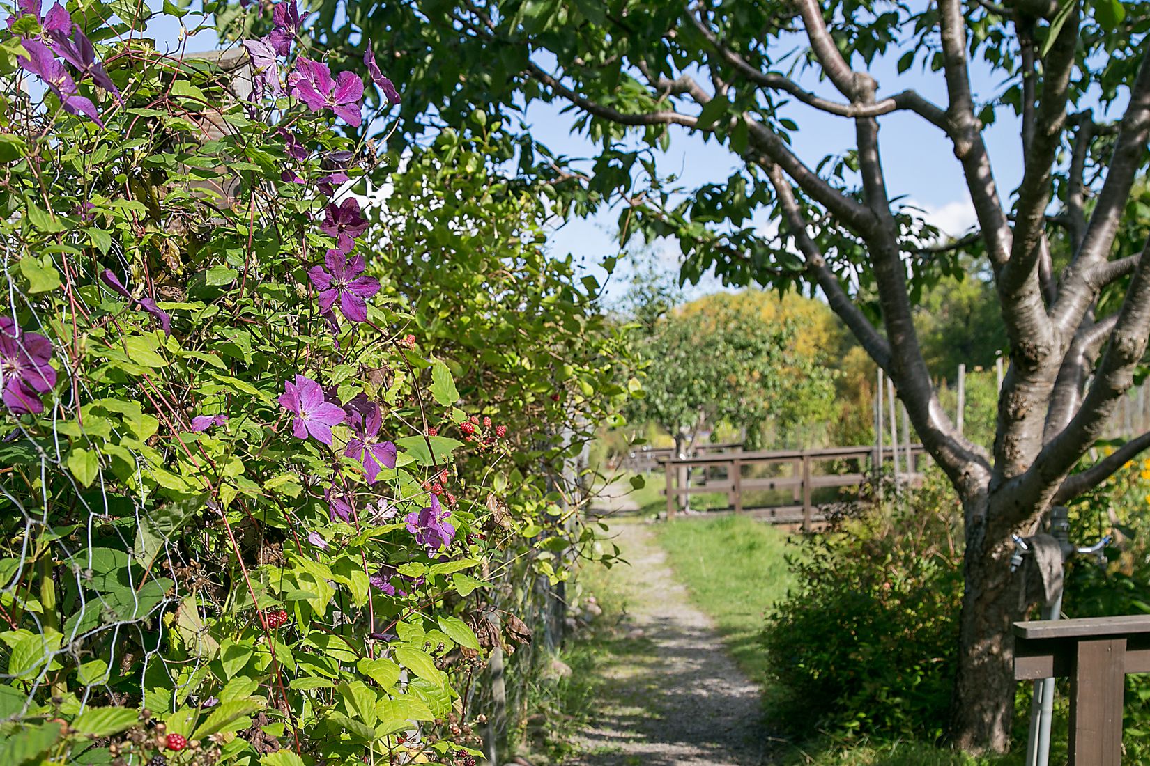 Bostadsrätt, Paternostervägen 88, Hammarbyhöjden, Johanneshov, Stockholm