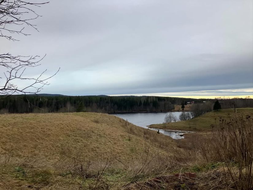 Gård/Skog, Överrödå 70, Överrödå, Vindeln