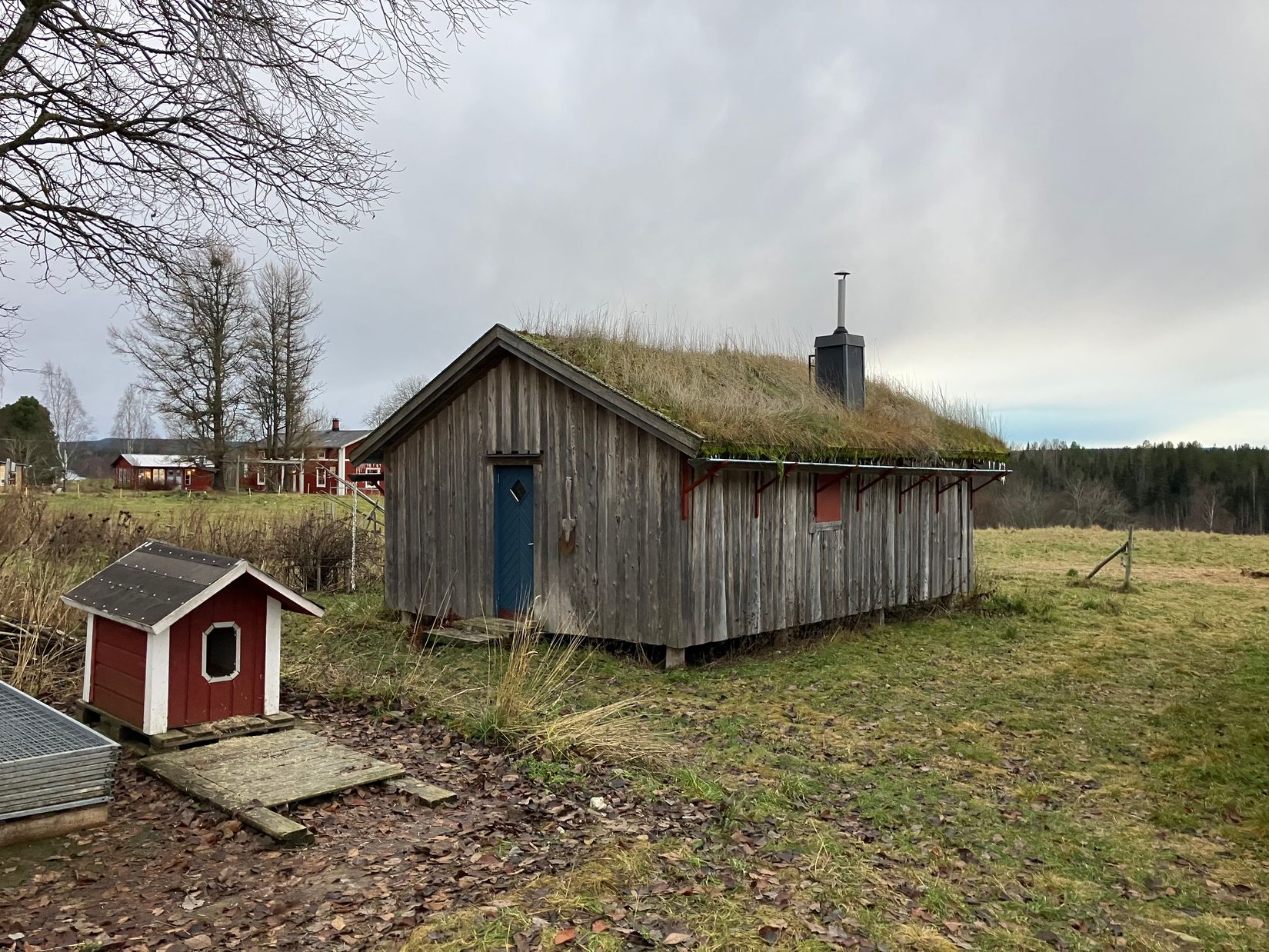 Gård/Skog, Överrödå 70, Överrödå, Vindeln