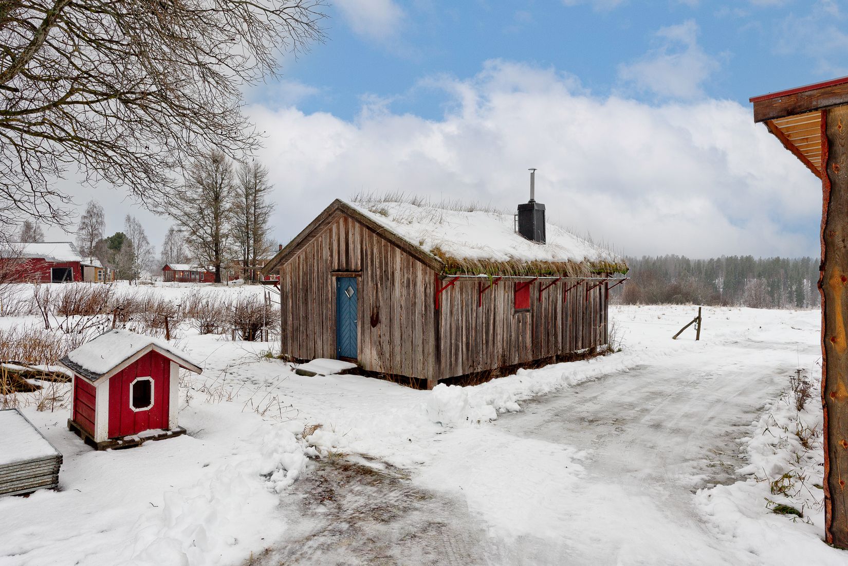 Gård/Skog, Överrödå 70, Överrödå, Vindeln