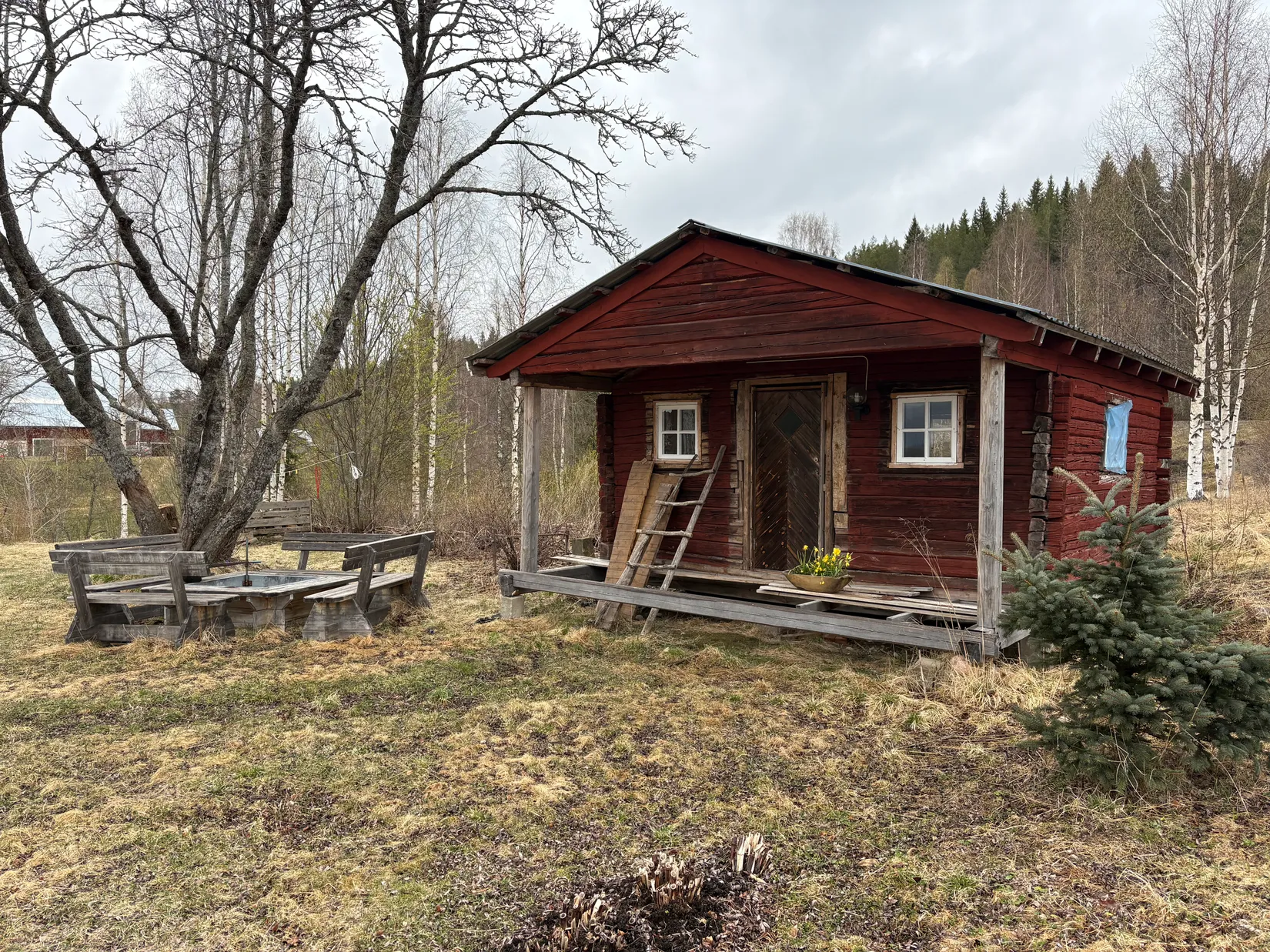 Gård/Skog, Överrödå 70, Överrödå, Vindeln