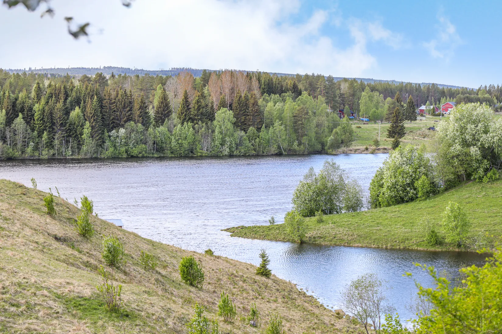 Gård/Skog, Överrödå 70, Överrödå, Vindeln