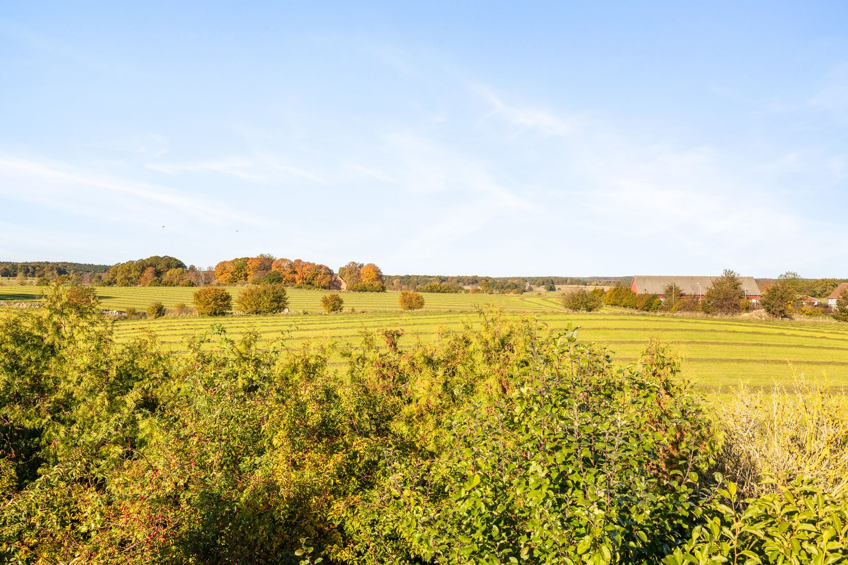 Villa, Eljaröd 3901, Tomelilla