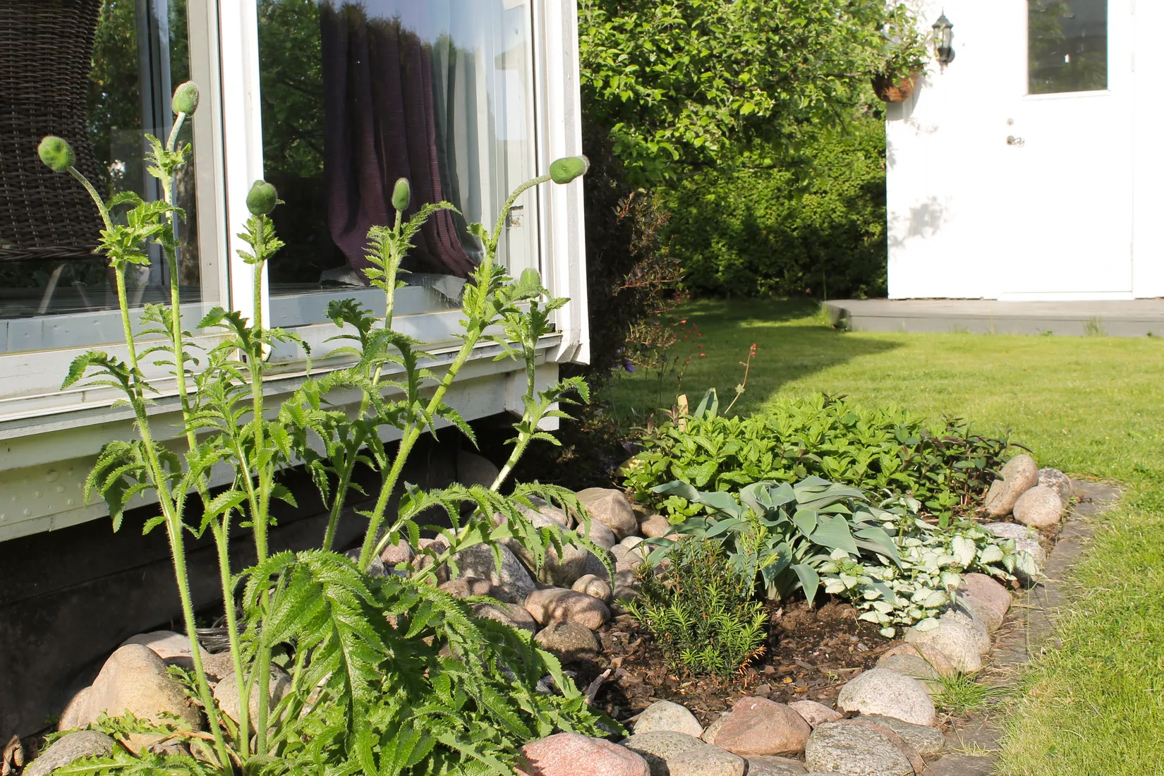 Villa, Holmvägen 12, Sunnersta, Uppsala