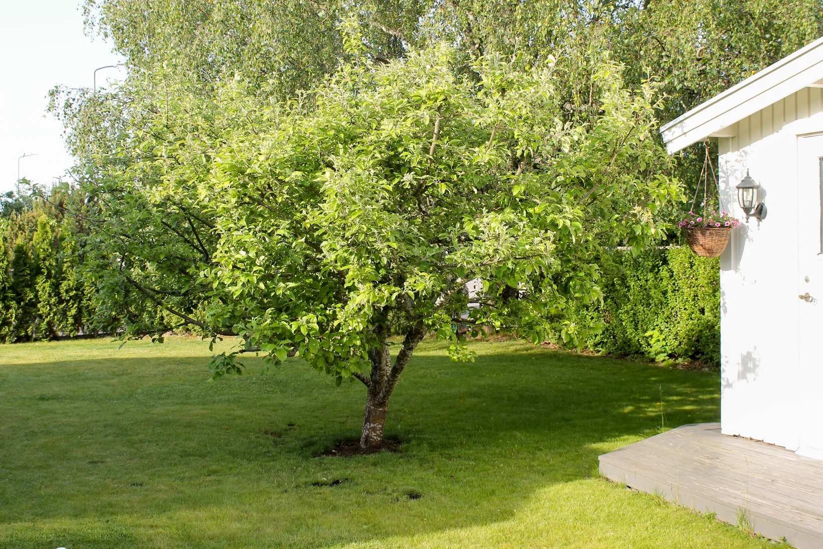 Villa, Holmvägen 12, Sunnersta, Uppsala