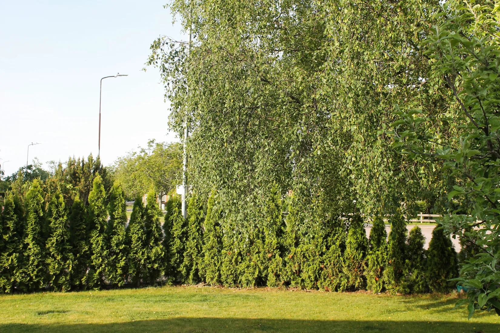 Villa, Holmvägen 12, Sunnersta, Uppsala