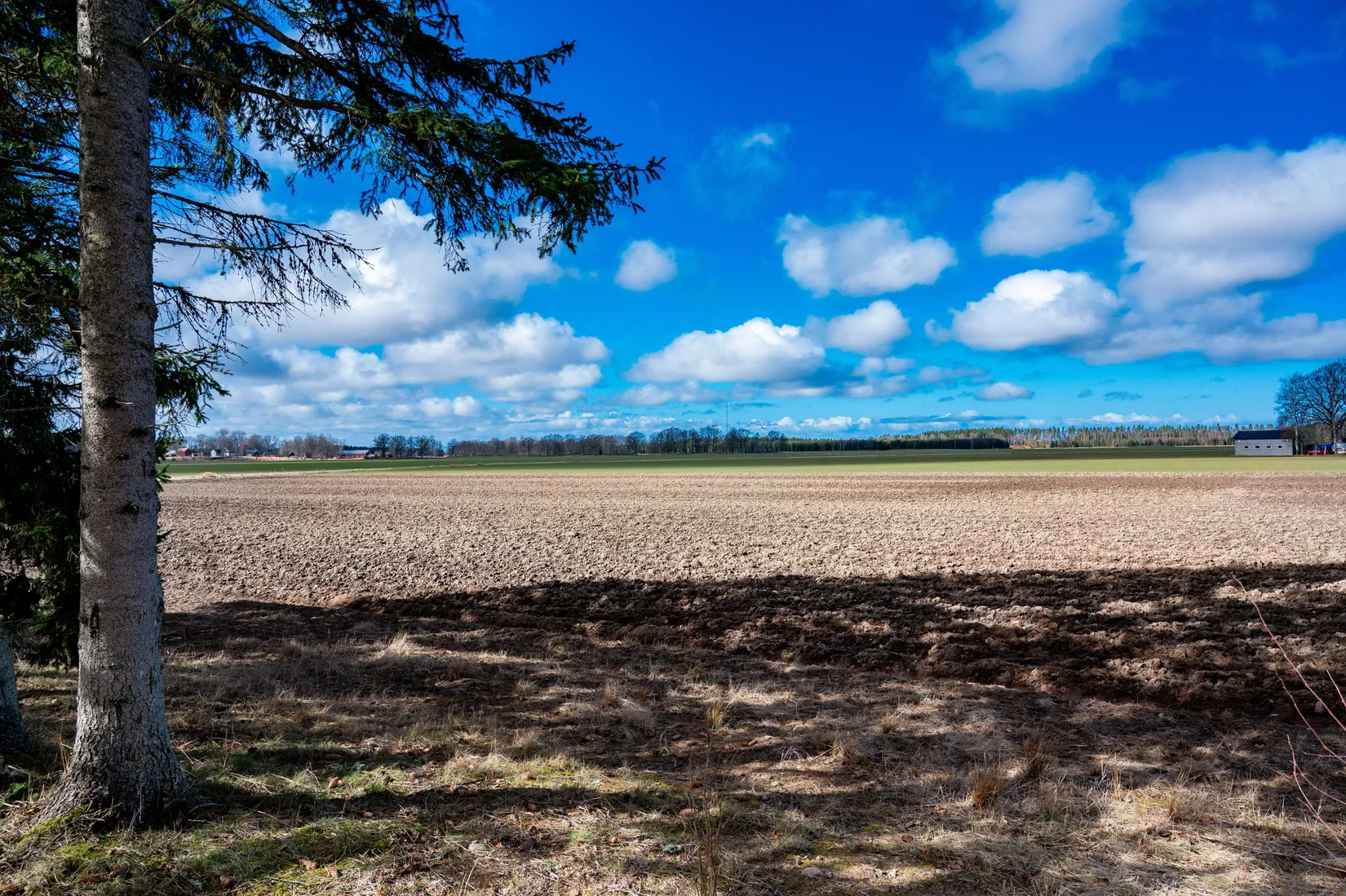 Gård/Skog, Ryda Häradstorp 1, Ryda, Vara