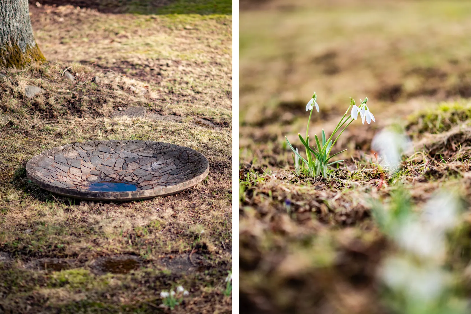 Gård/Skog, Ryda Häradstorp 1, Ryda, Vara